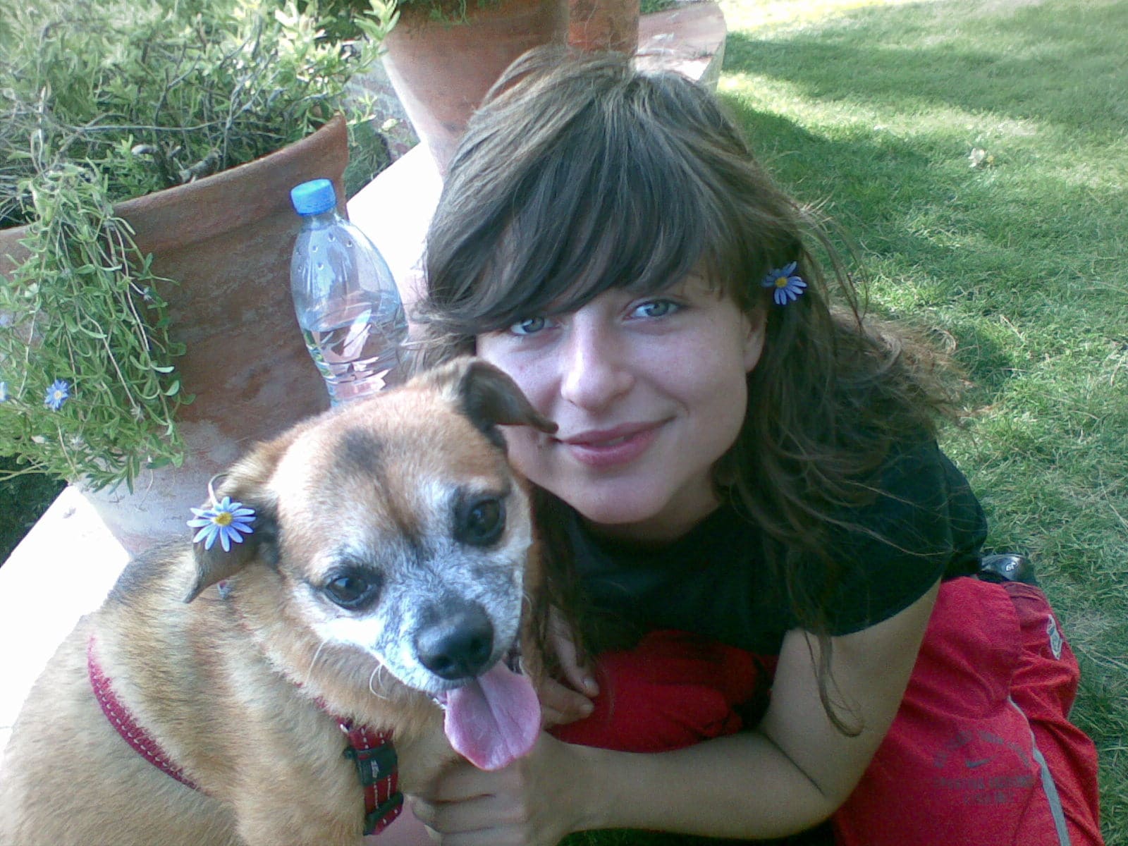 2010: Récord, el primer perro que eduqué yo